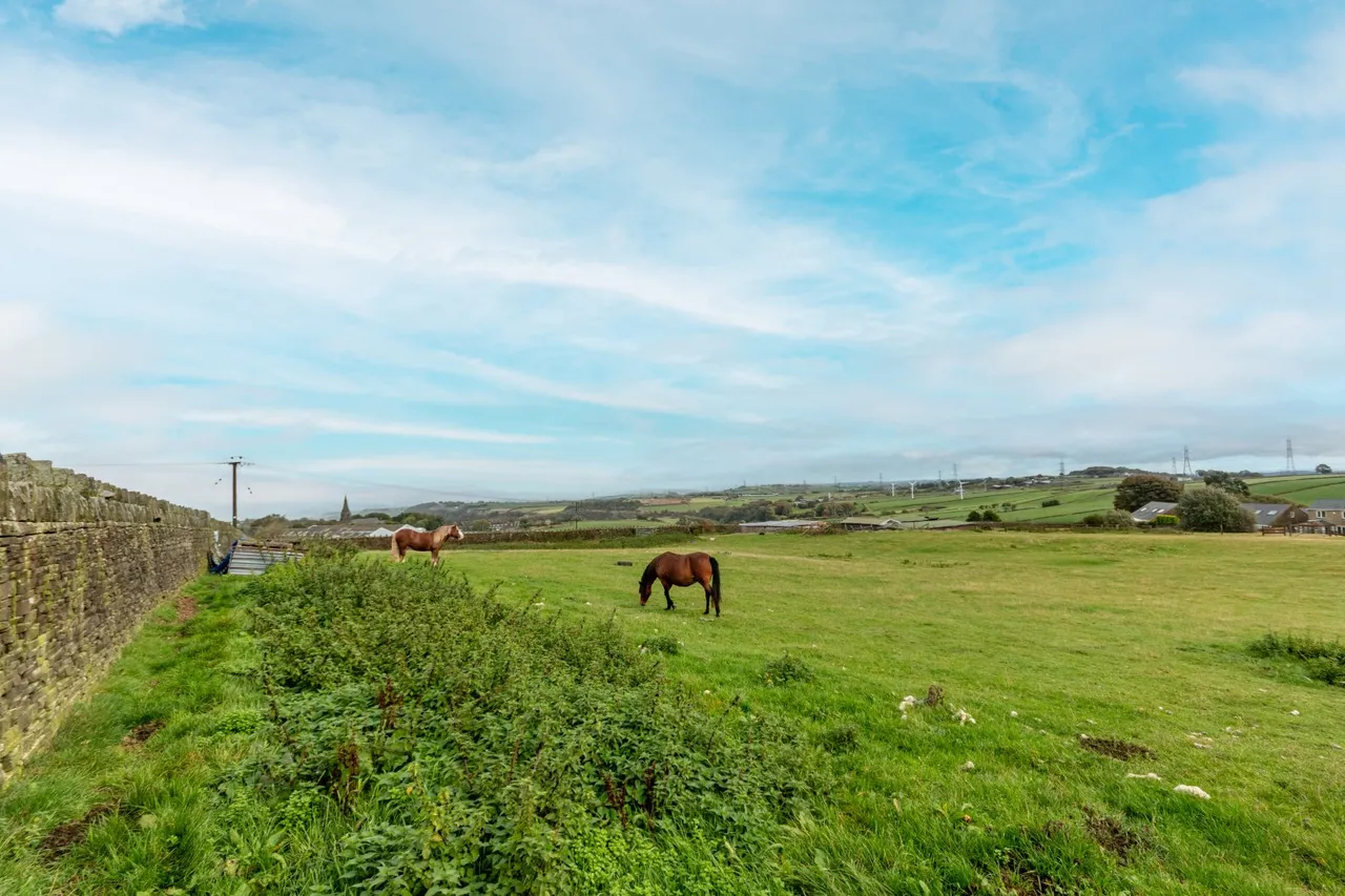 Smithy Farm Denholme Gate, Denholme, BD13, photo 23
