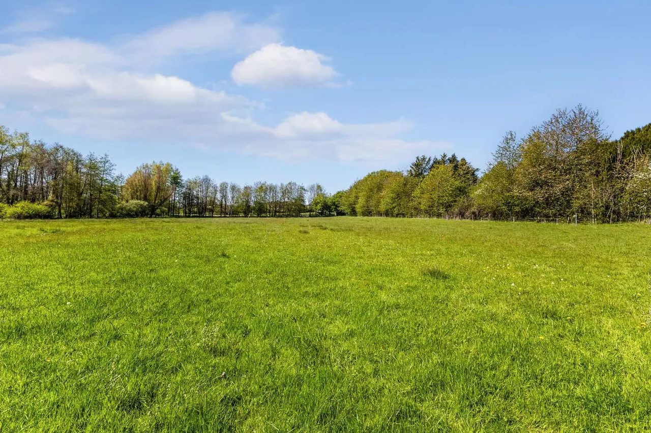 Corsley, BA12, photo 32