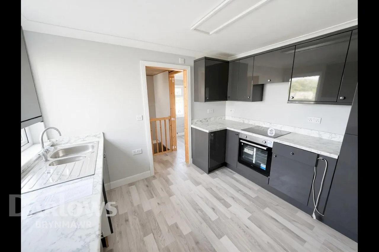 Mount Pleasant Road, Ebbw Vale, photo 4