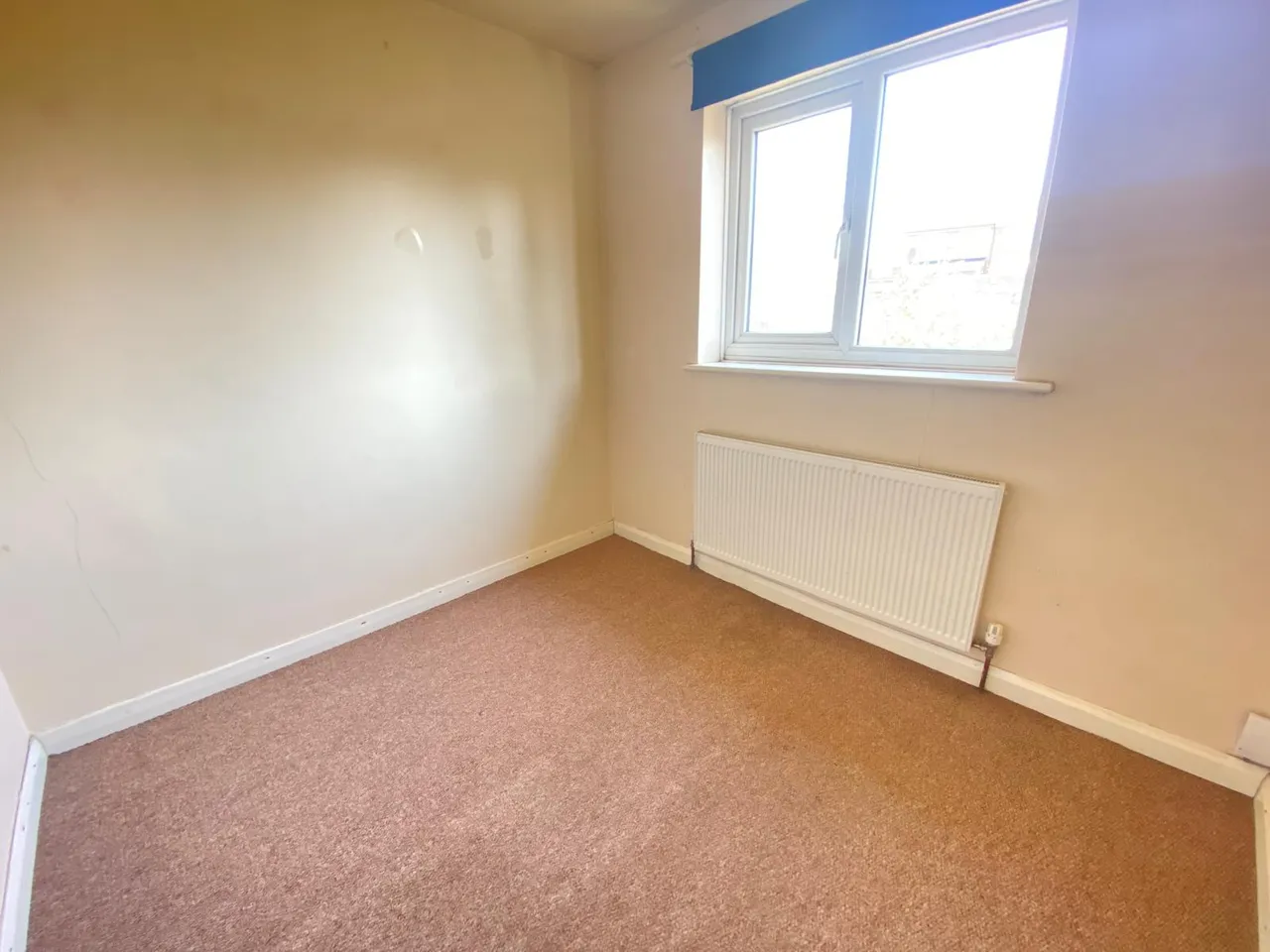 Park Rise, Leicester, LE3 6SG, photo 10