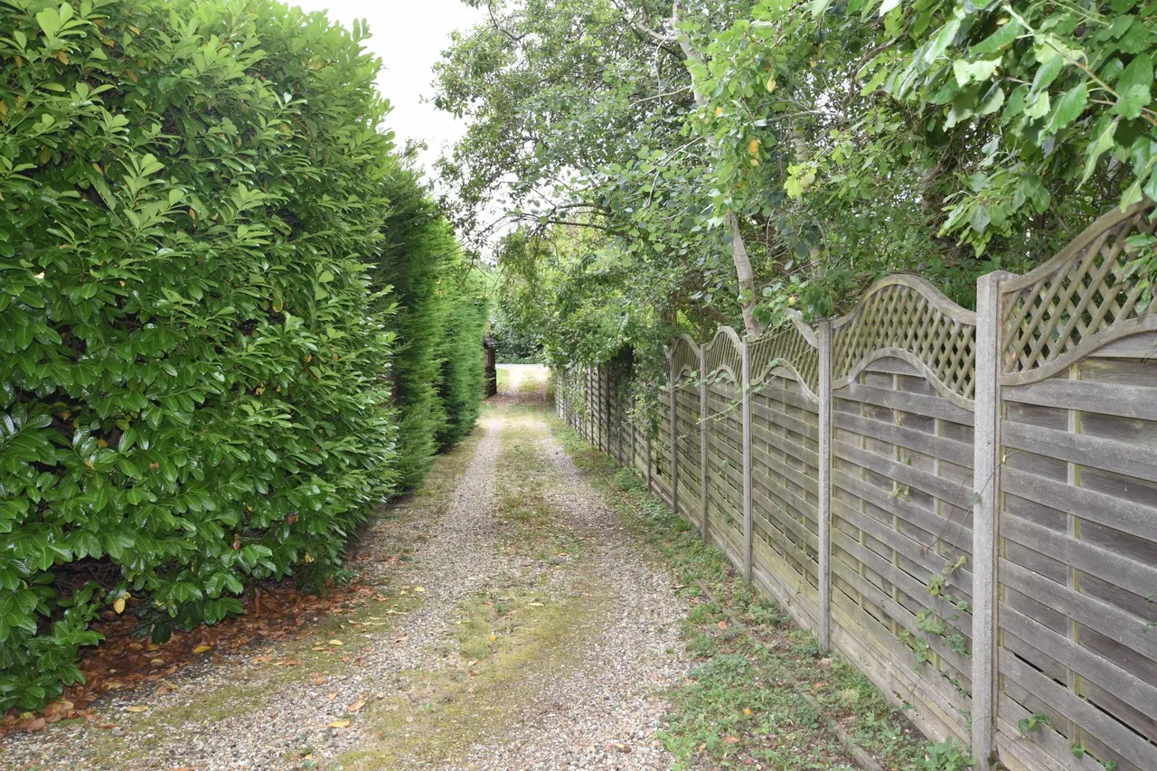Water Lane, Little Whelnetham, photo 13