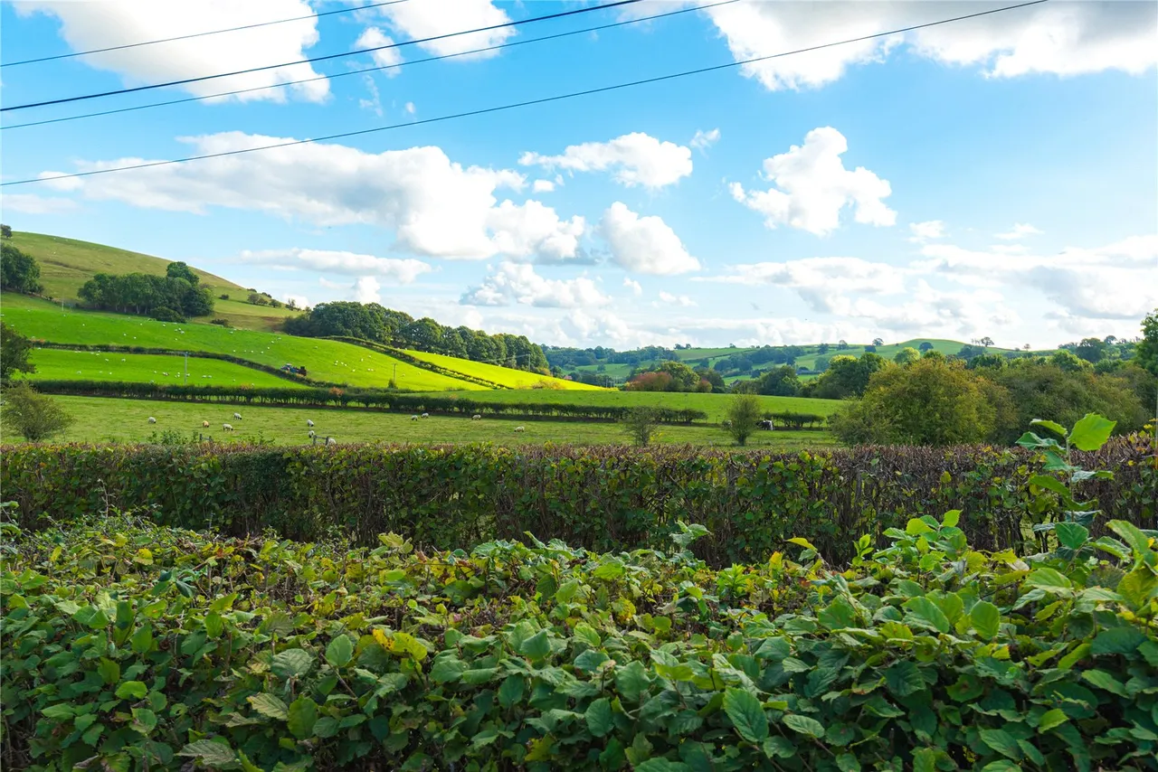 Tregynon, Newtown, SY16, photo 29