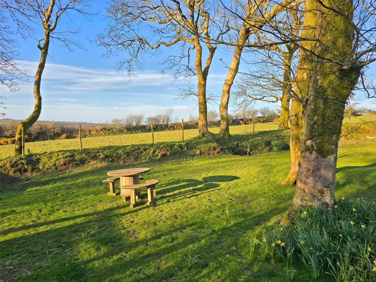 Davidstow, Camelford, PL32, photo 12