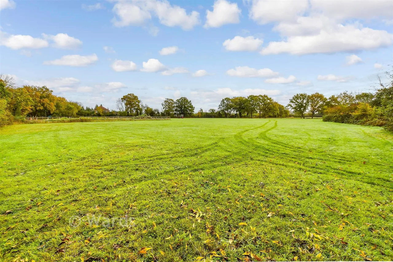 Pike Fish Lane, Paddock Wood, TN12, photo 20