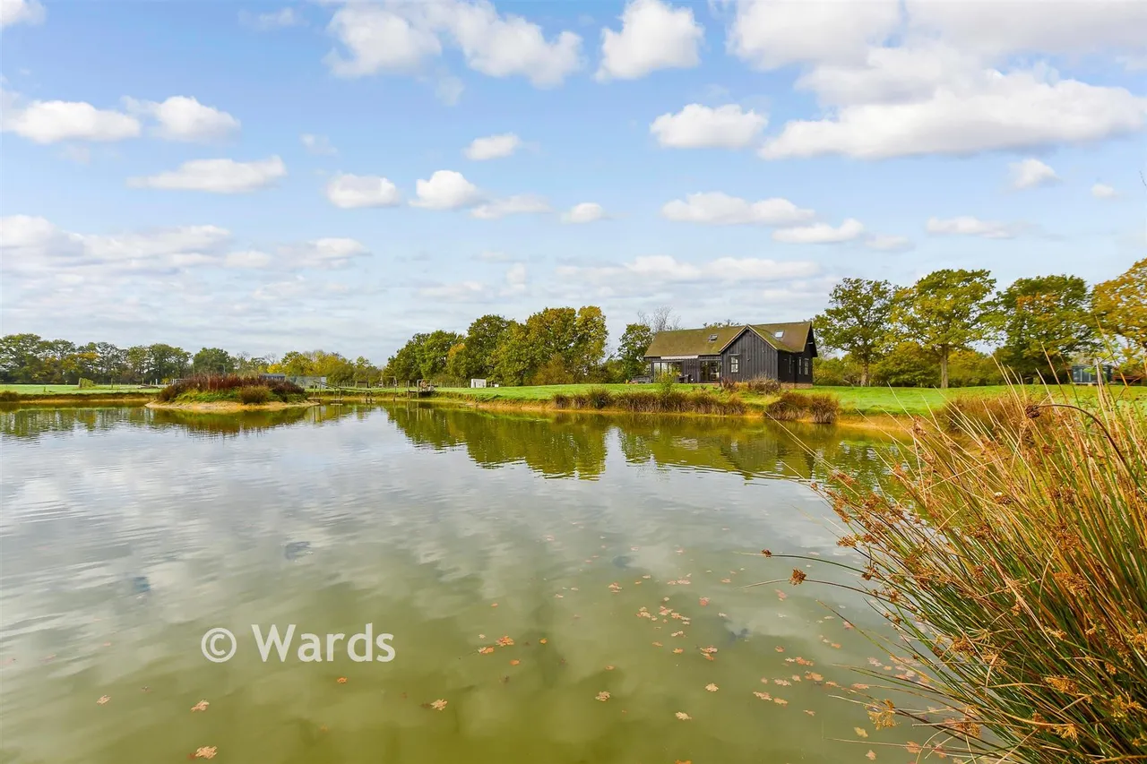 Pike Fish Lane, Paddock Wood, TN12, photo 13