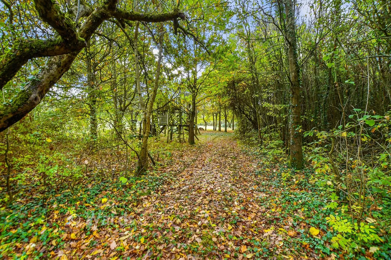 Pike Fish Lane, Paddock Wood, TN12, photo 19