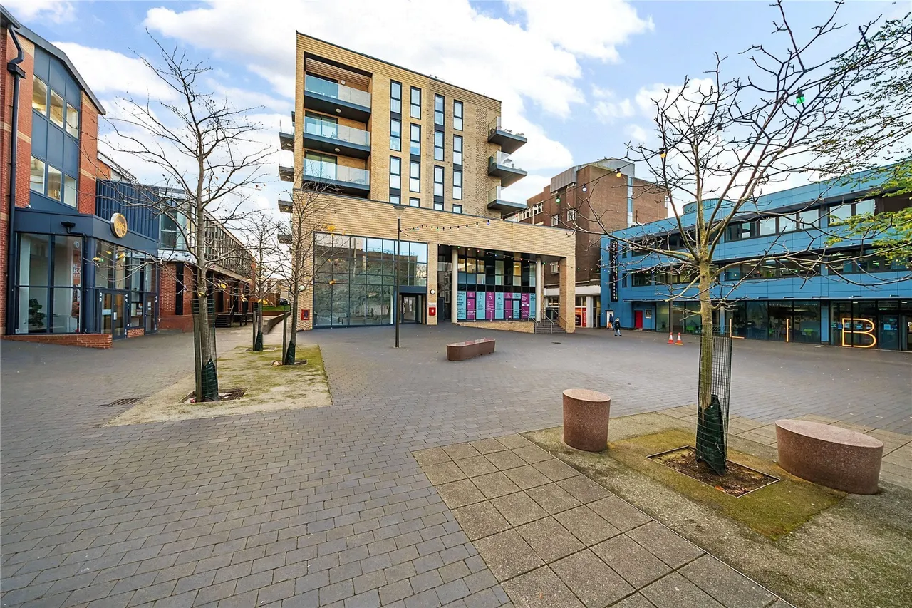 Homefield Rise, Orpington, BR6, photo 18
