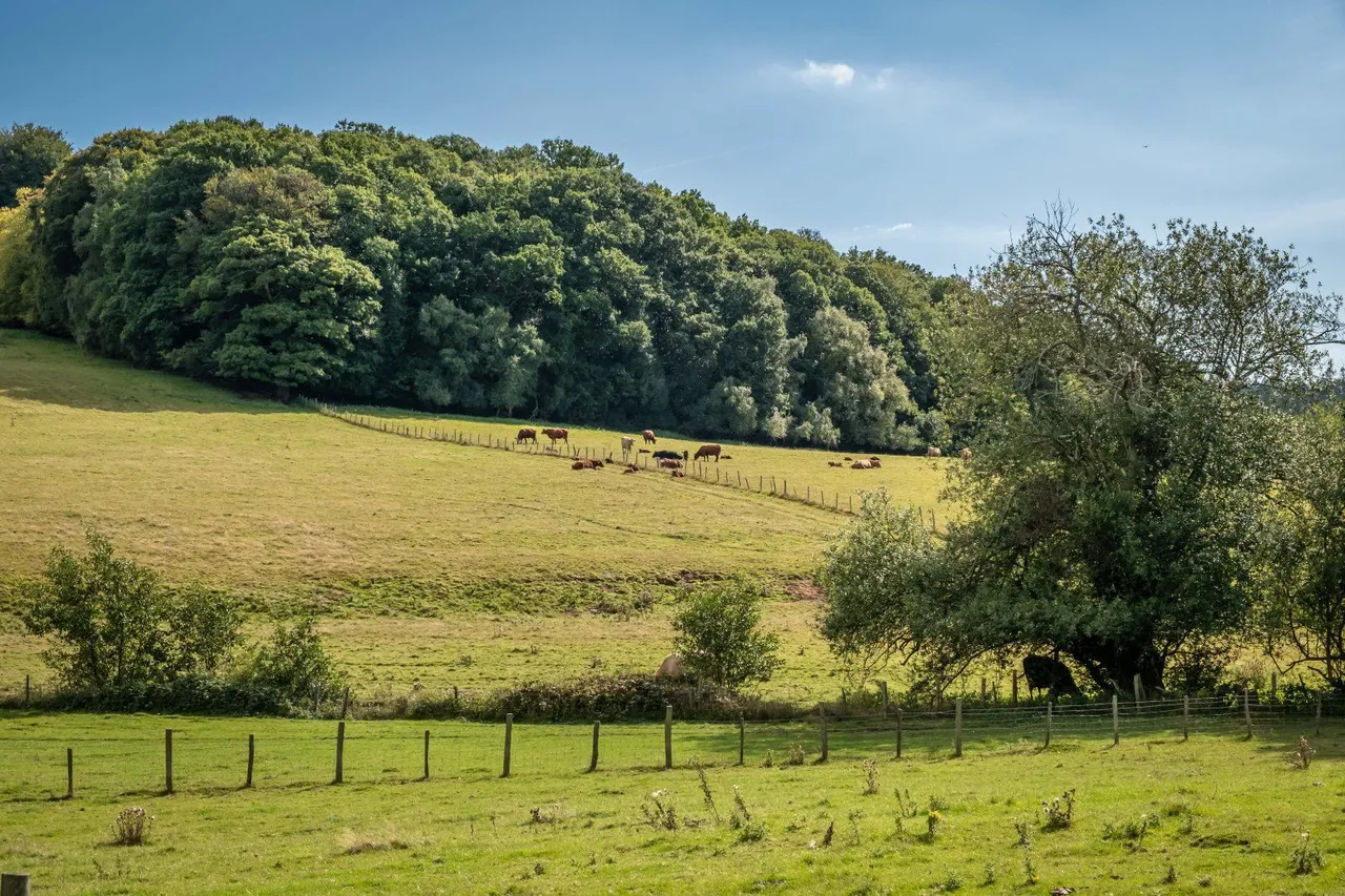 Poppinghole Lane, Robertsbridge, TN32 5BL, photo 8