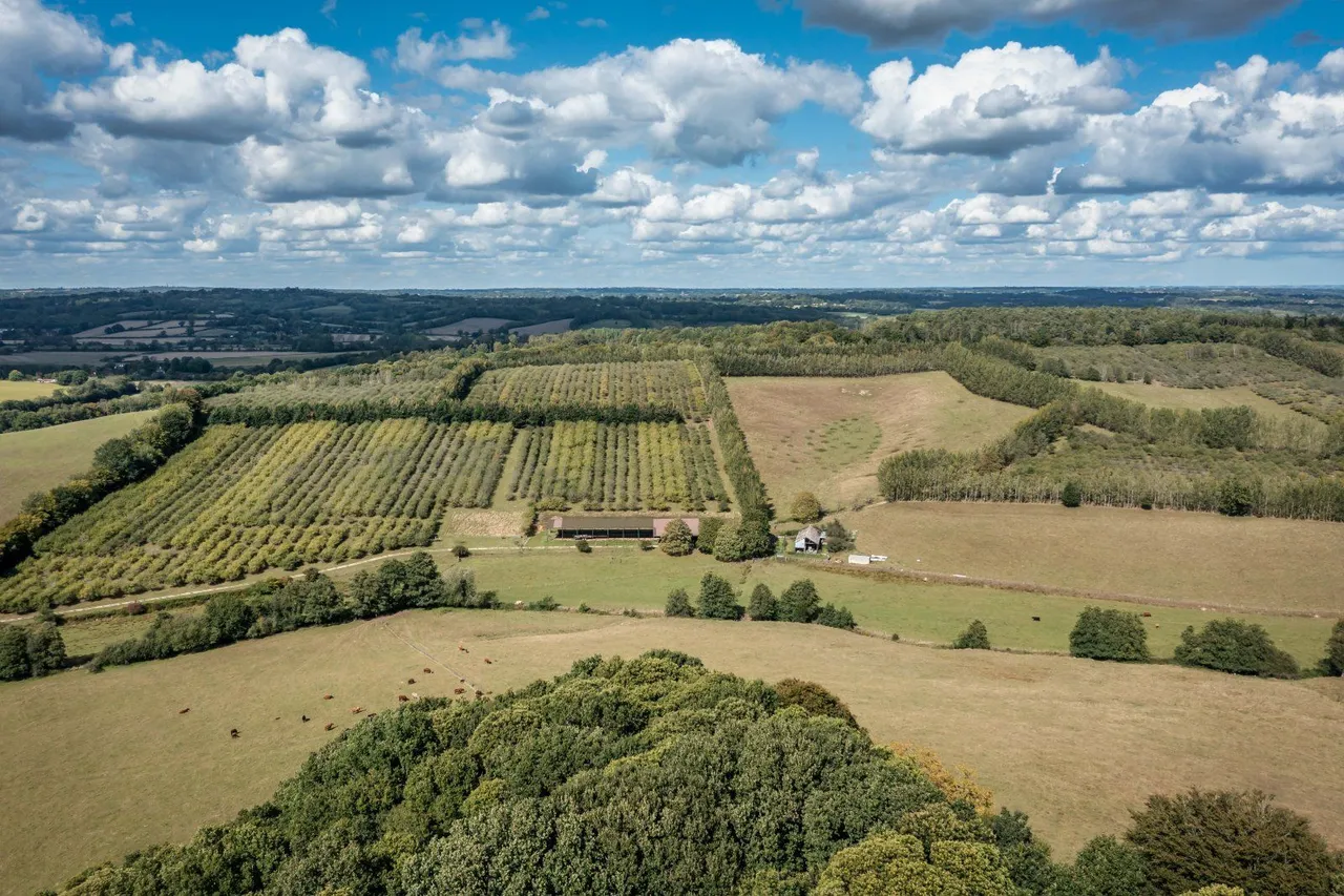 Poppinghole Lane, Robertsbridge, TN32 5BL, photo 11