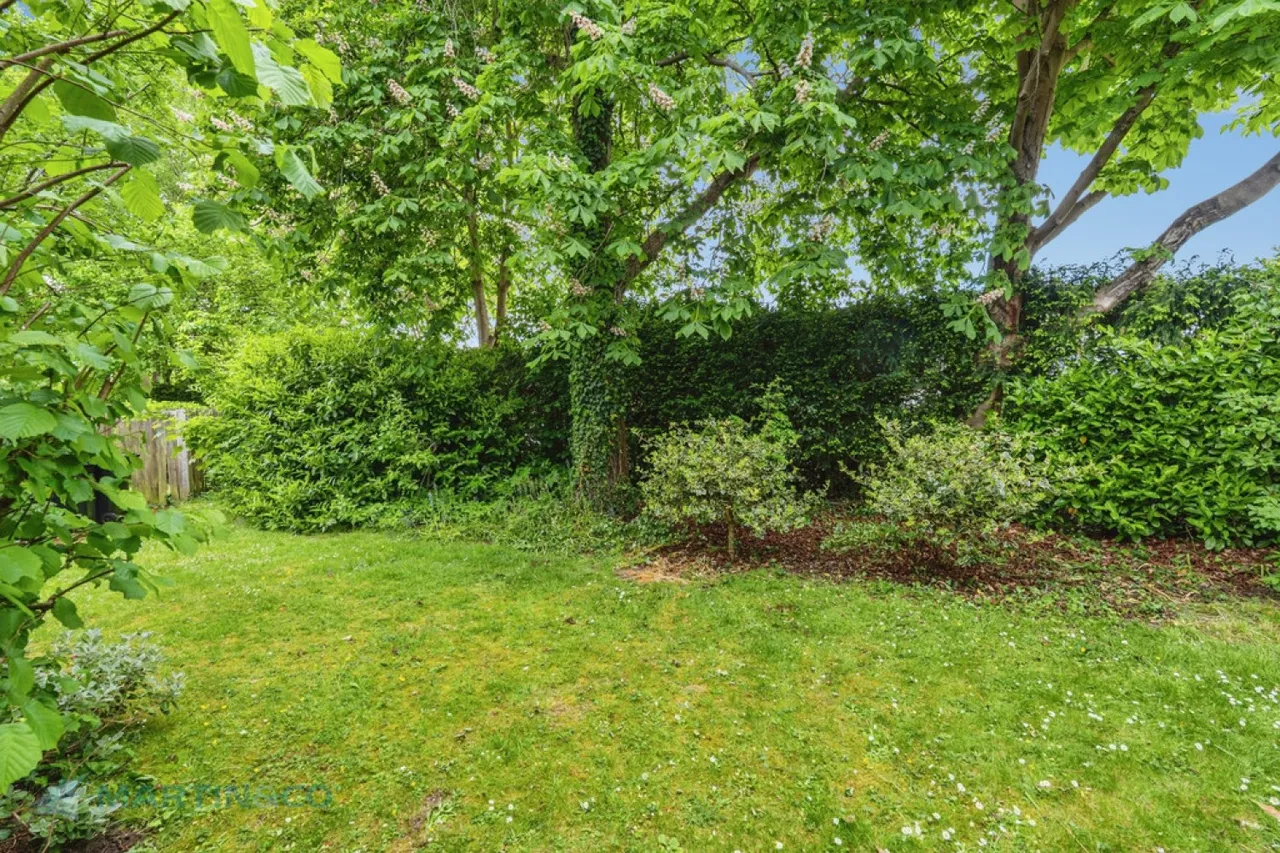 Woking, Surrey, photo 10