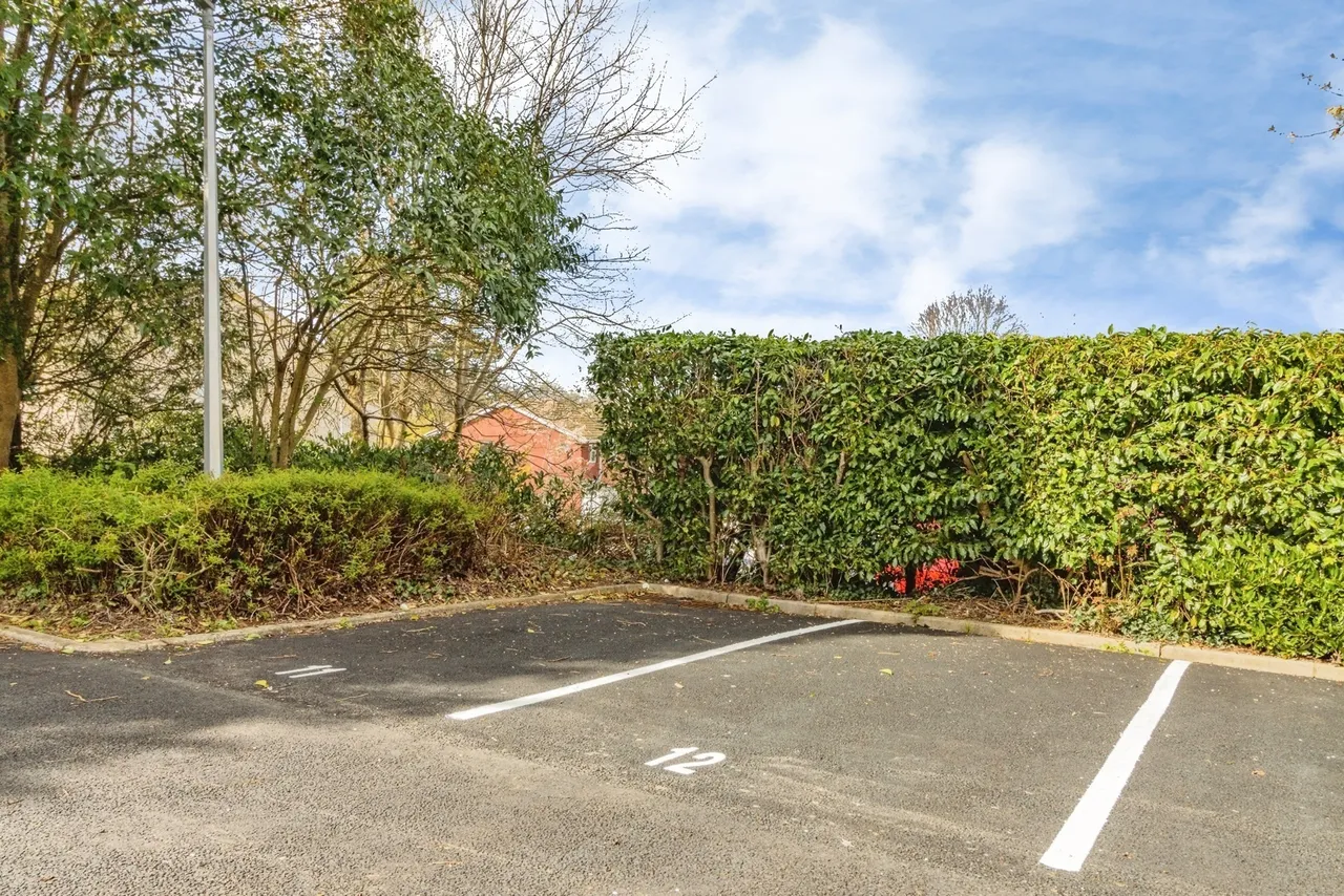 Parkers Way, Totnes, TQ9, photo 10