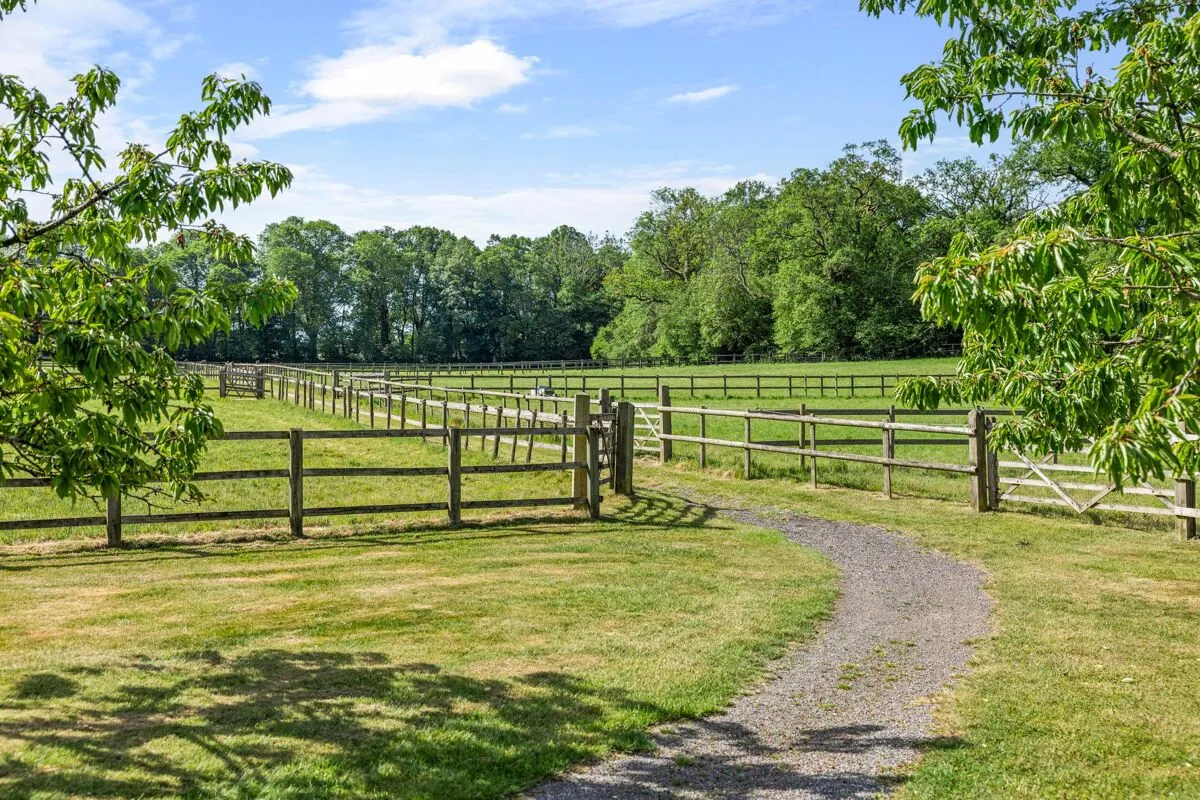 Steventon, Basingstoke, RG25, photo 30