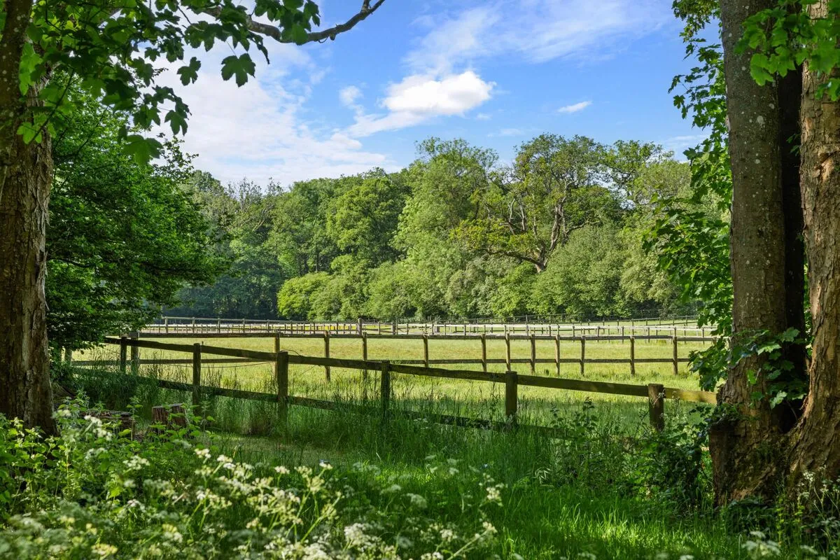 Steventon, Basingstoke, RG25, photo 31