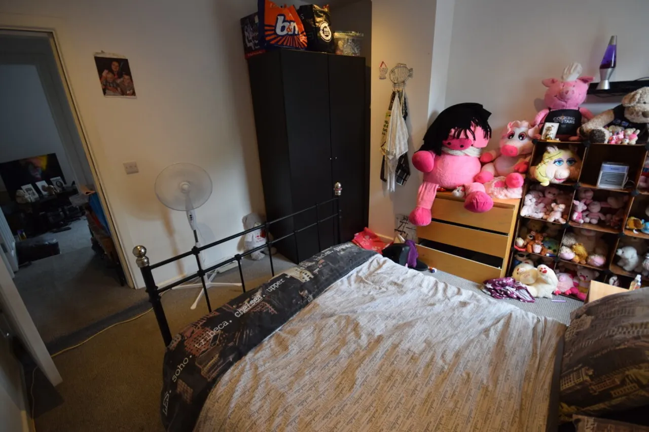 Molly Lees, Baddeley Street, photo 9