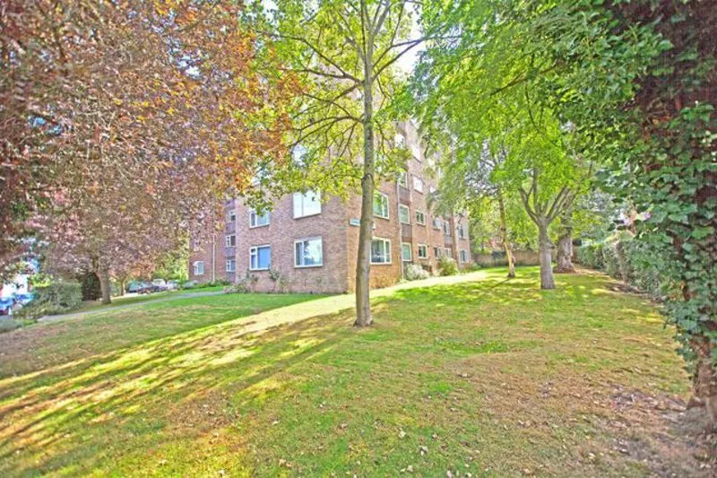 Tenterden Grove, London NW4 1TL, photo 11