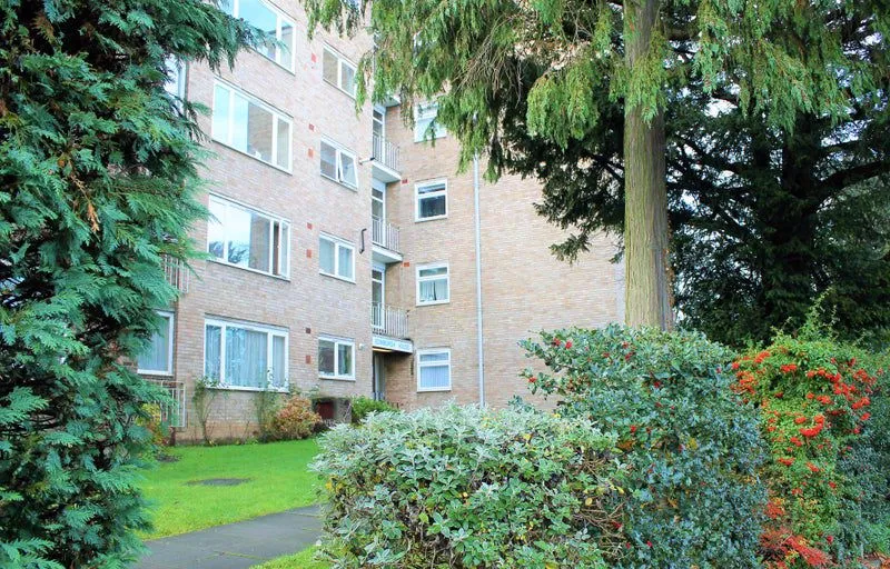 Tenterden Grove, London NW4 1TL, photo 12