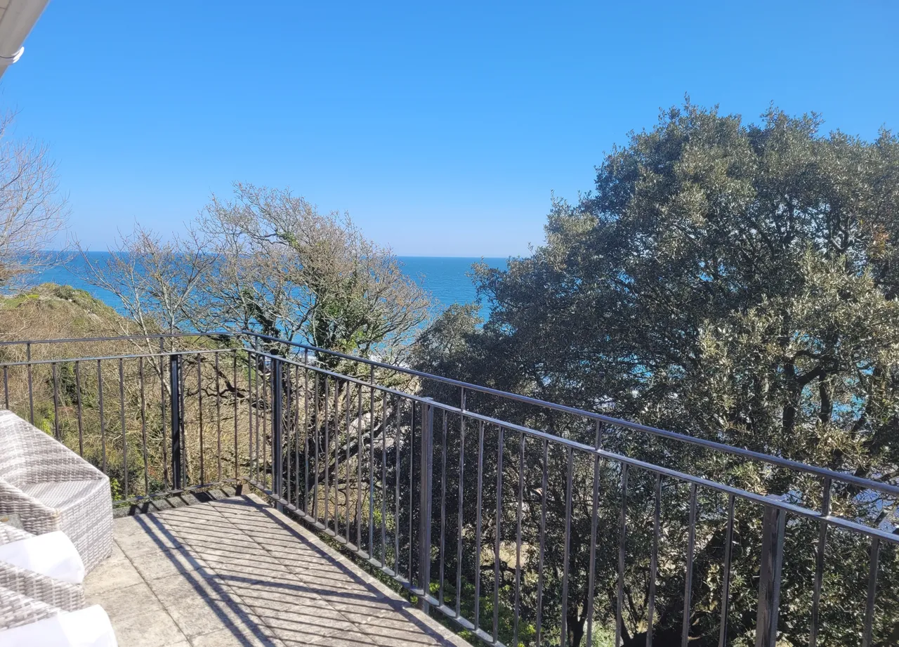 Steephill, Ventnor, PO38, photo 7