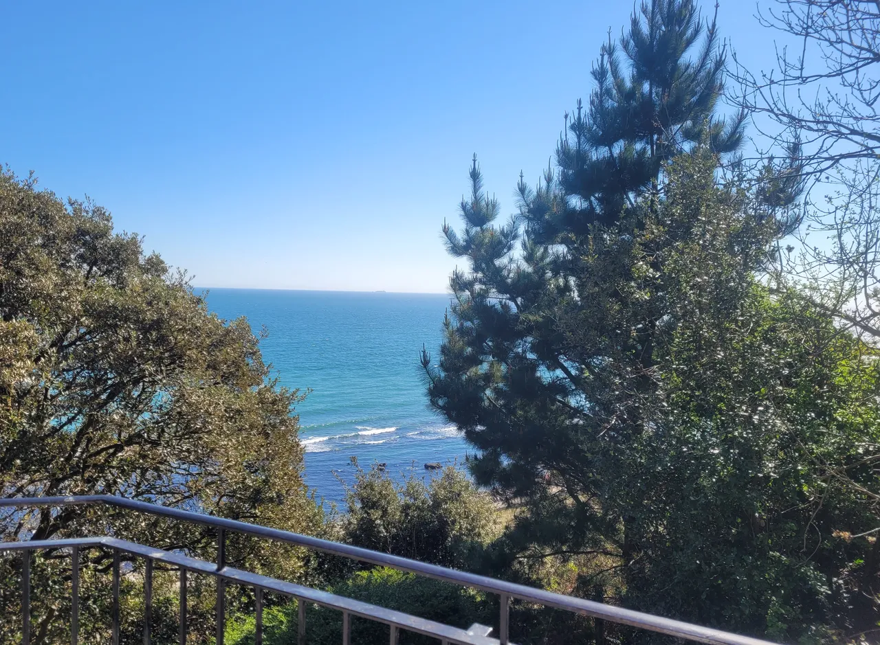 Steephill, Ventnor, PO38, photo 15