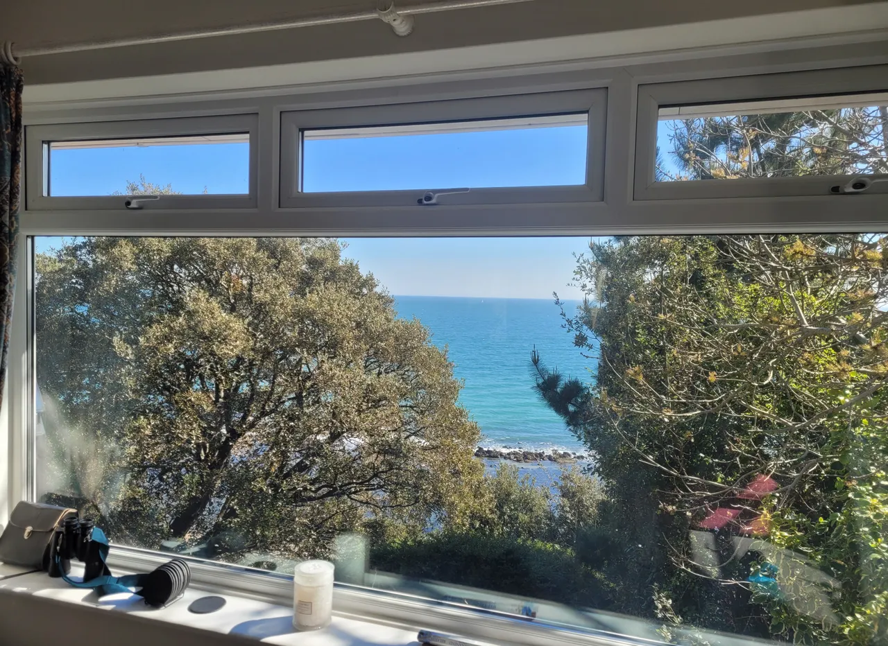 Steephill, Ventnor, PO38, photo 5
