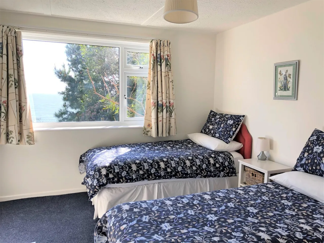 Steephill, Ventnor, PO38, photo 11
