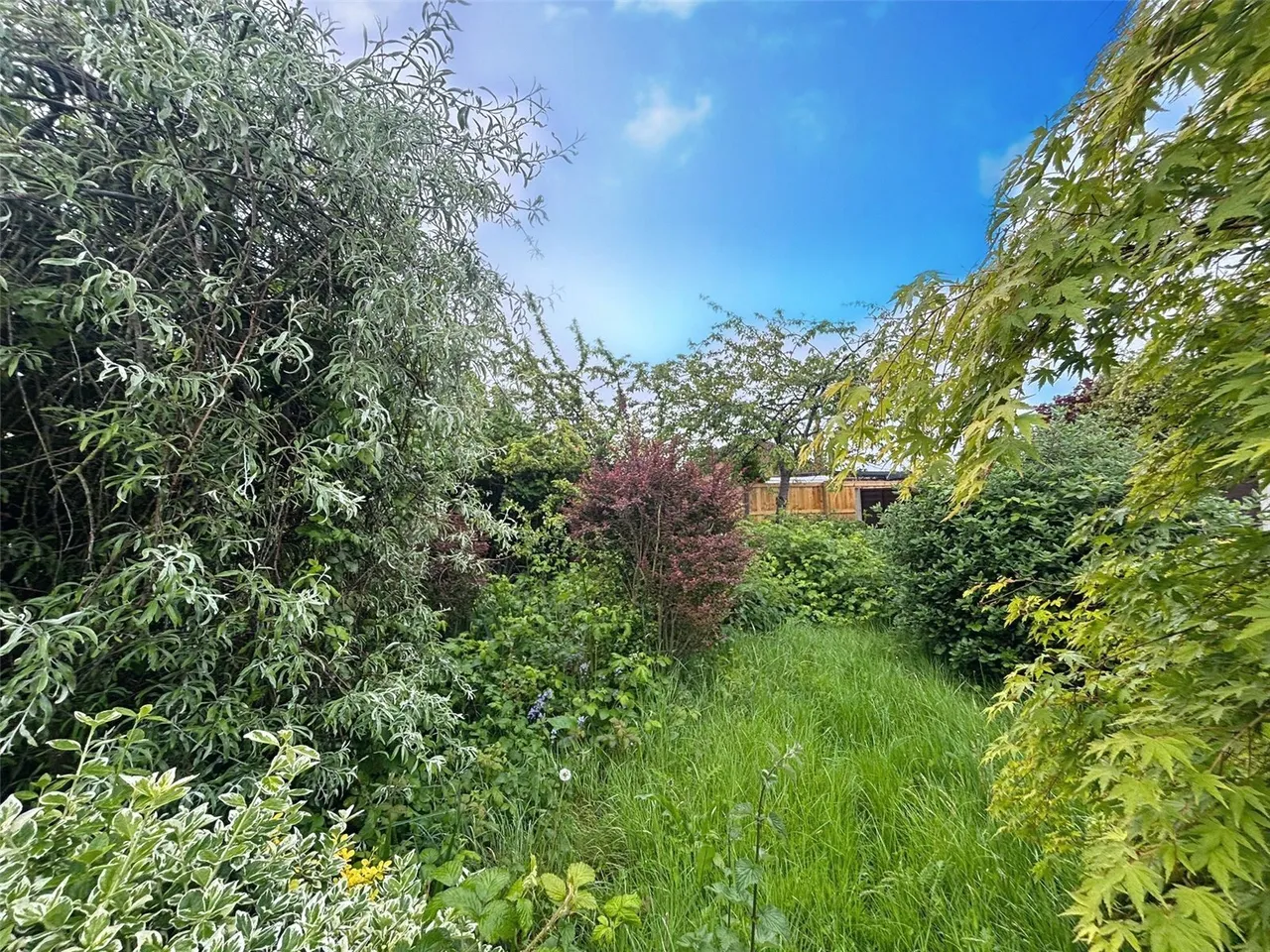 Barkhill Road, Vicars Cross, CH3, photo 16