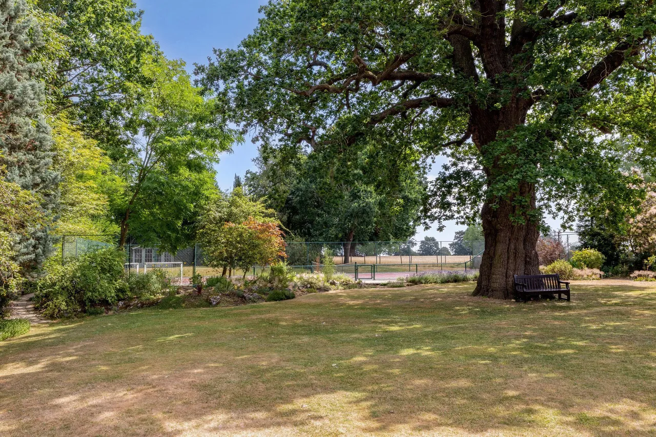 Ware Park, Ware, SG12, photo 13