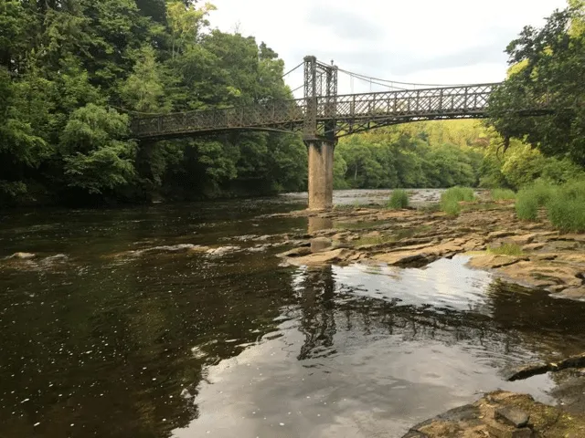 Tait Walk, Crossford, ML8, photo 6