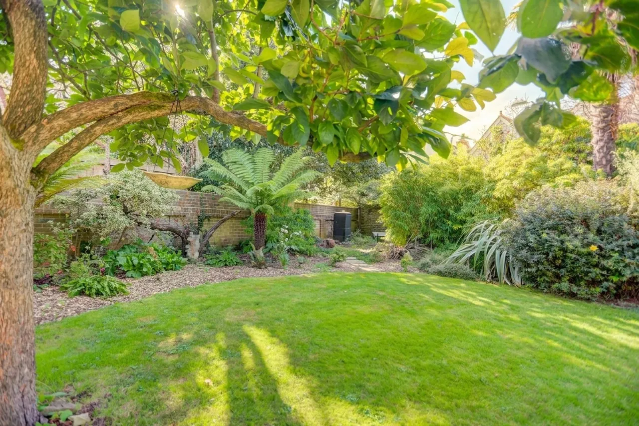 Bigwood Avenue, Hove, BN3, photo 17