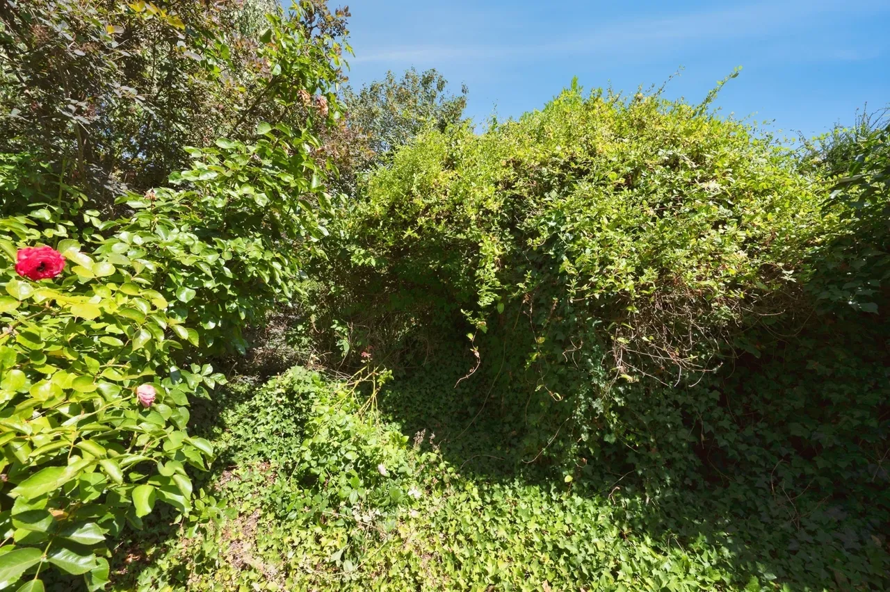 Anyards Road, Cobham, KT11, photo 4