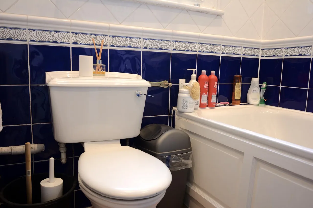 Delaware Road, Maida Vale, London, W9 2LH, photo 7