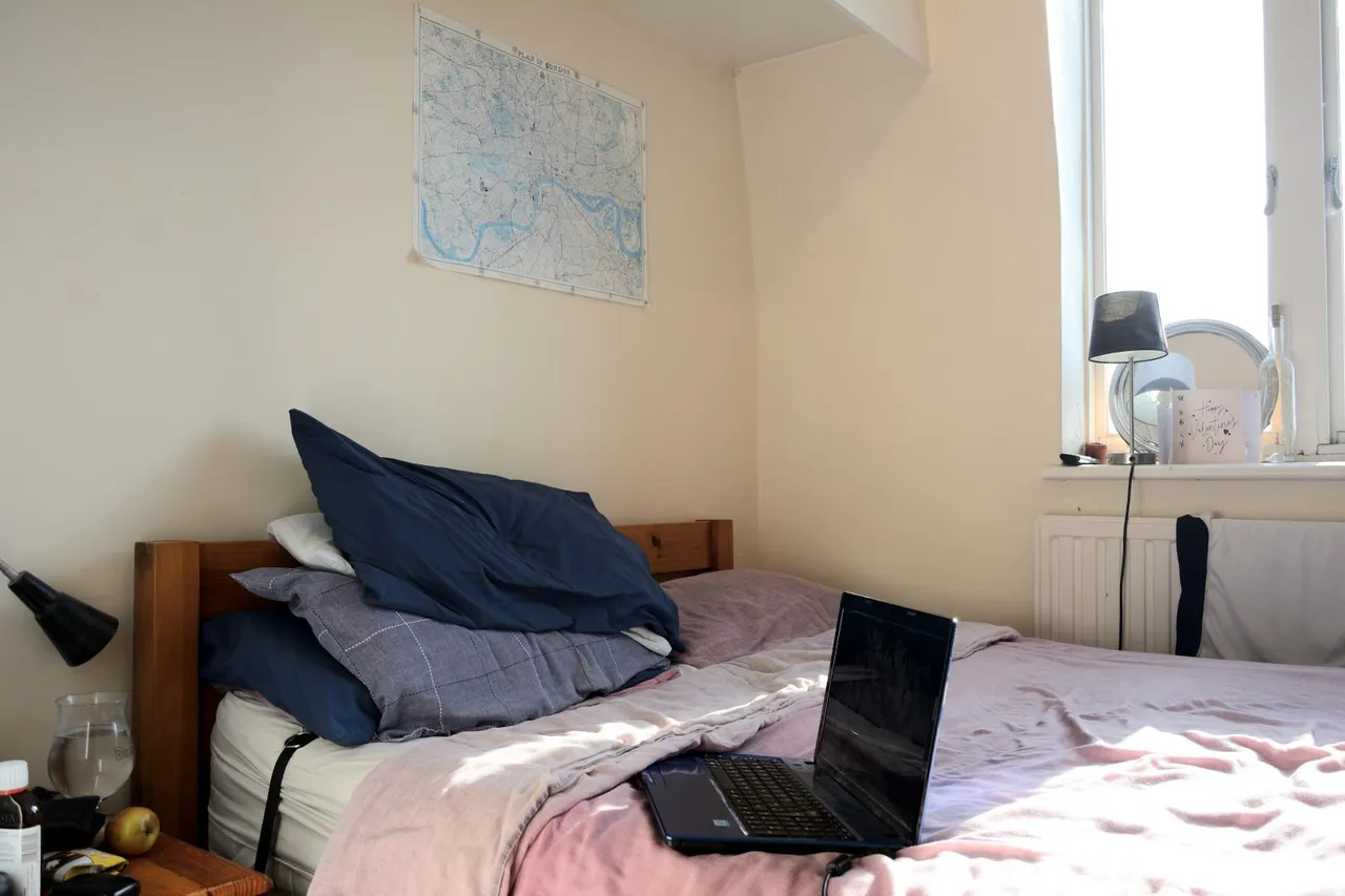 Delaware Road, Maida Vale, London, W9 2LH, photo 8