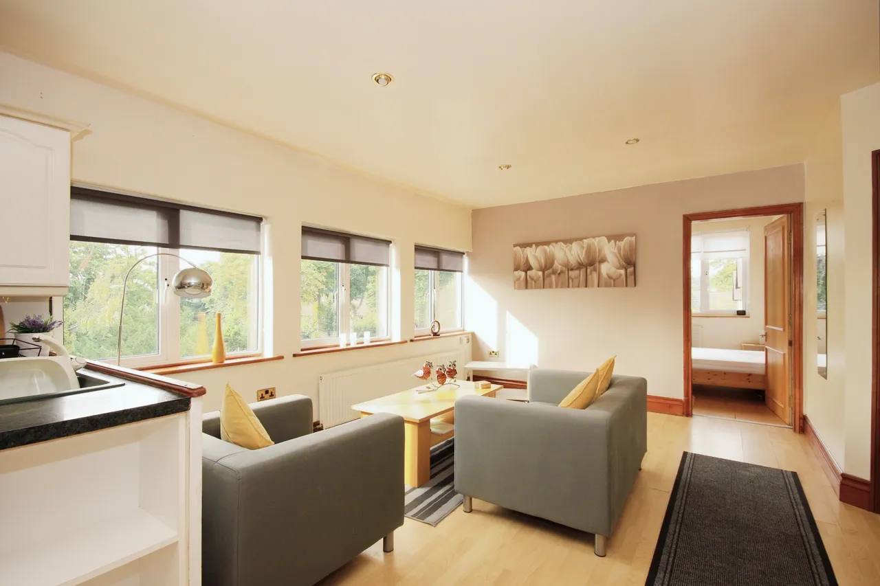 Kings Way, Moorgate, Rotherham, South Yorkshire, S60, photo 5