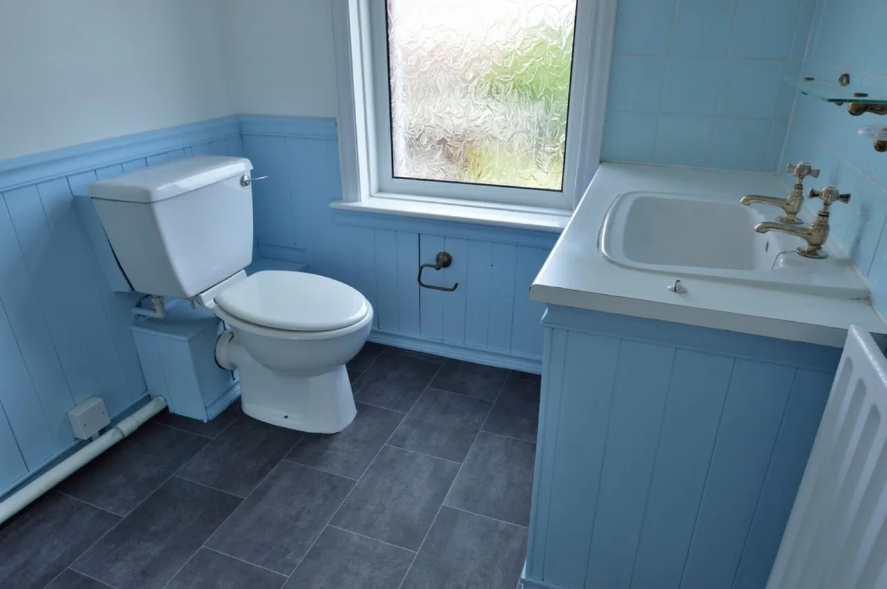 Winchester Road, Waltham Chase, SO32, photo 7