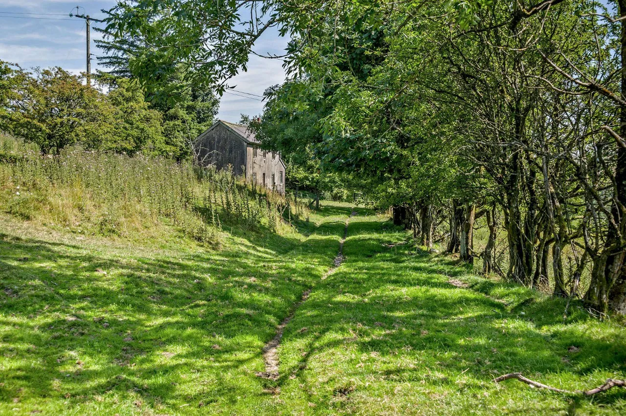 Llangunllo, Knighton, LD7, photo 8