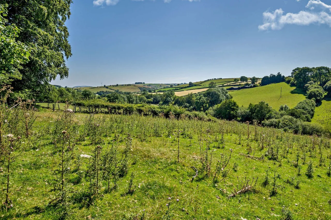 Llangunllo, Knighton, LD7, photo 26