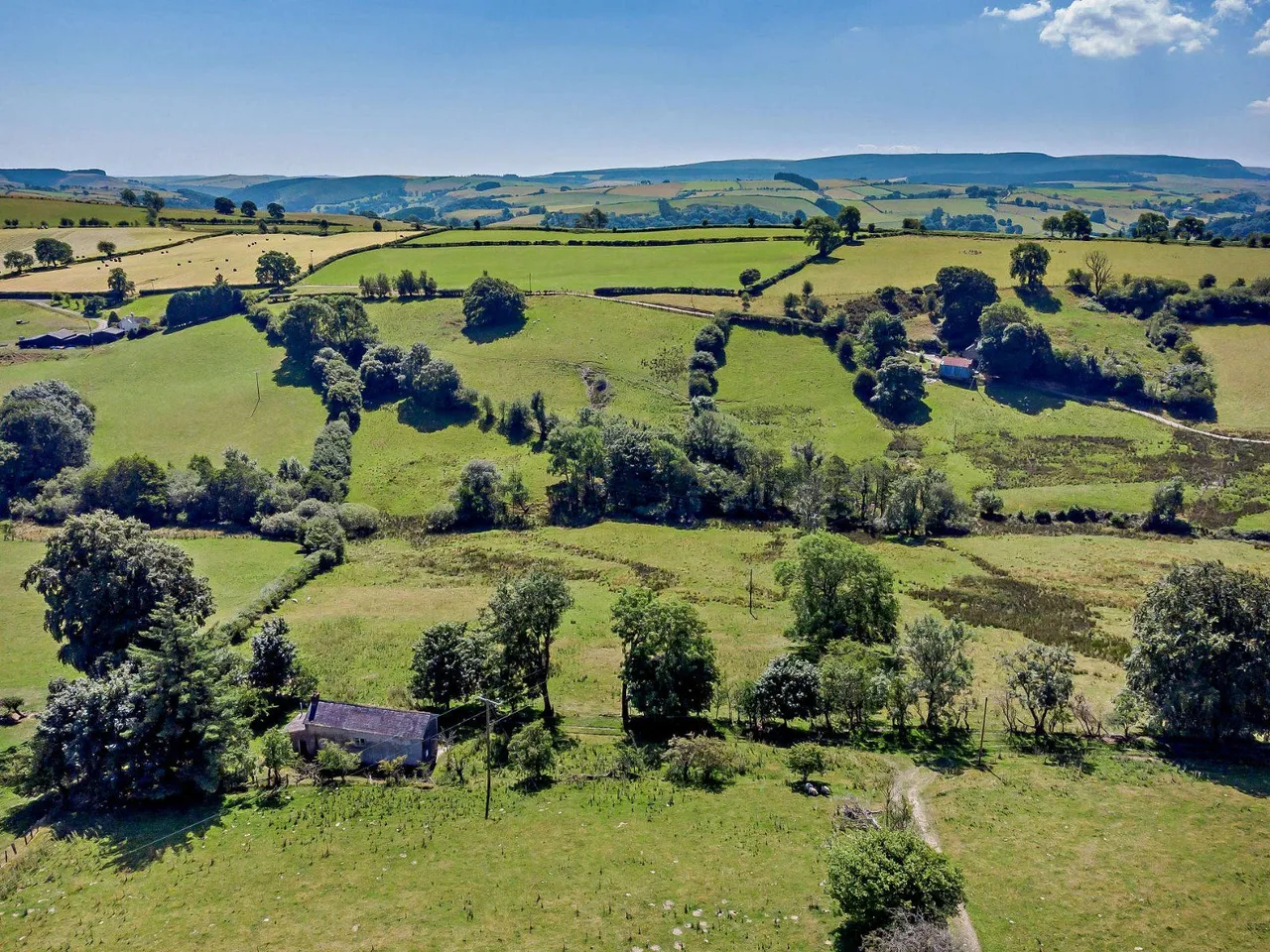 Llangunllo, Knighton, LD7, photo 9