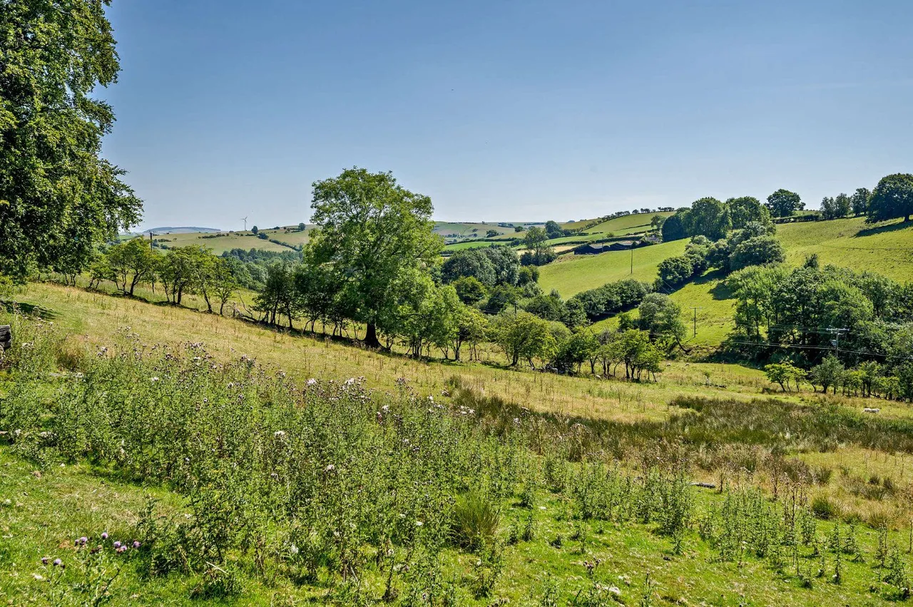 Llangunllo, Knighton, LD7, photo 23