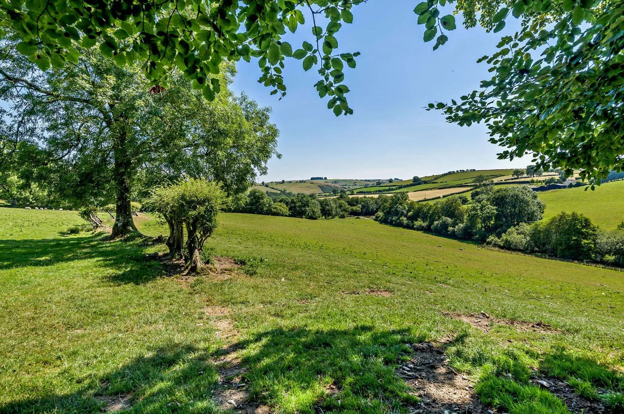 Llangunllo, Knighton, LD7, photo 27