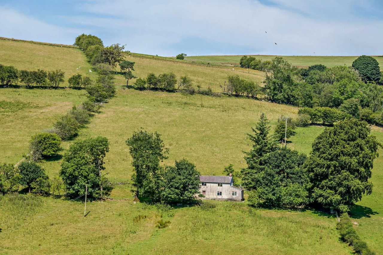 Llangunllo, Knighton, LD7, photo 10