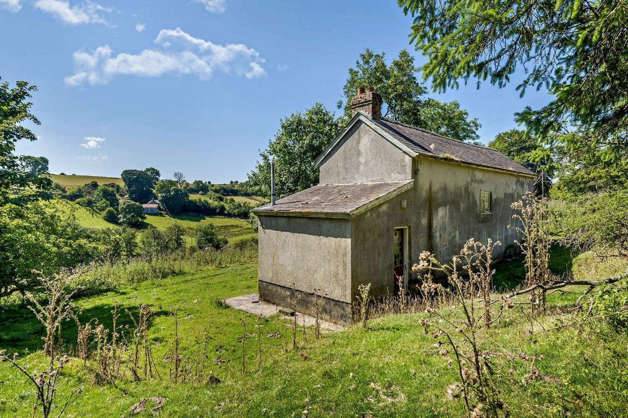 Llangunllo, Knighton, LD7, photo 7