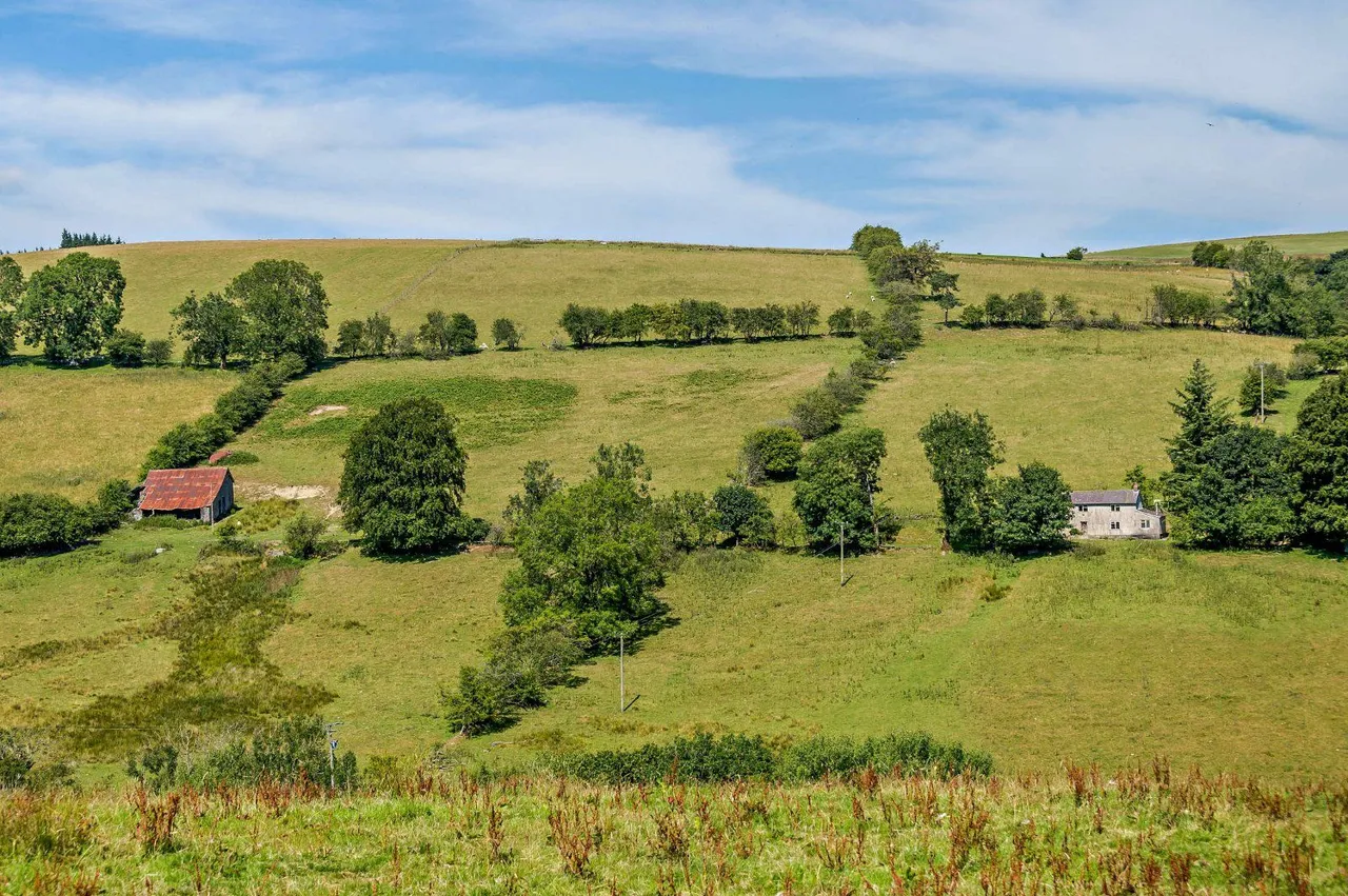 Llangunllo, Knighton, LD7, photo 3