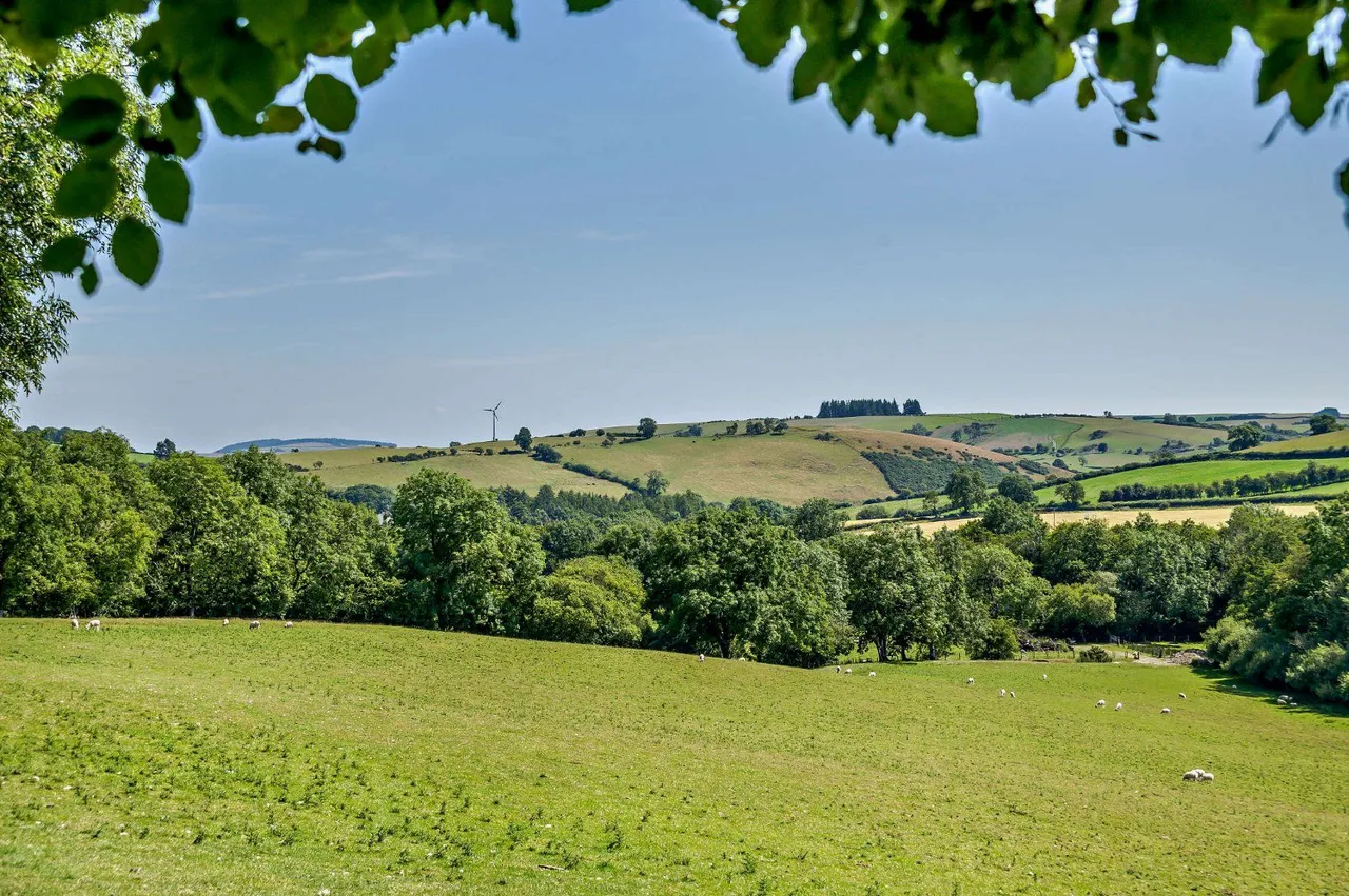 Llangunllo, Knighton, LD7, photo 24