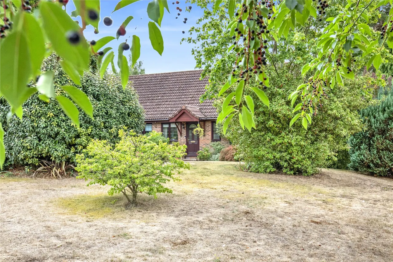 Liphook Road, Whitehill, GU35, photo 28