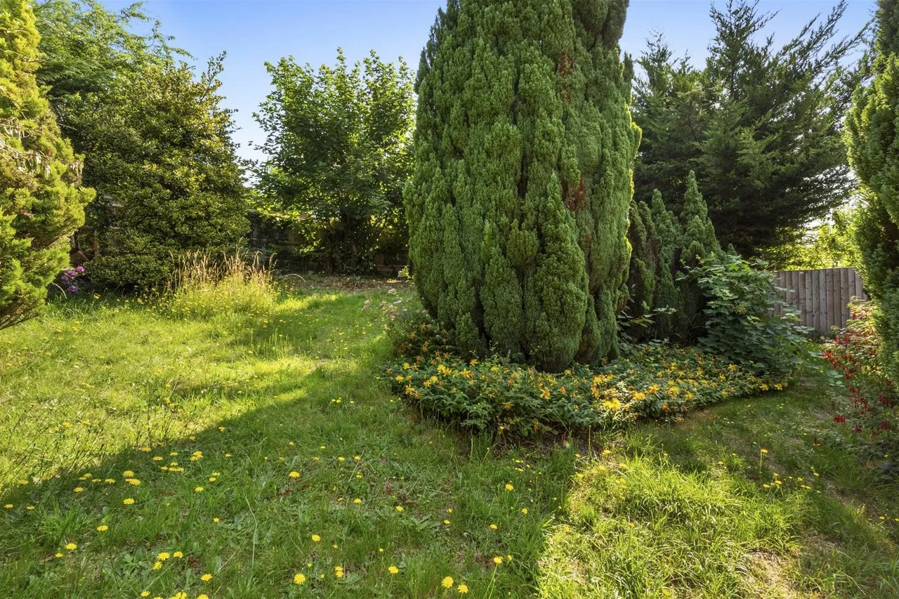 Eastern Dene, Hazlemere, HP15, photo 13