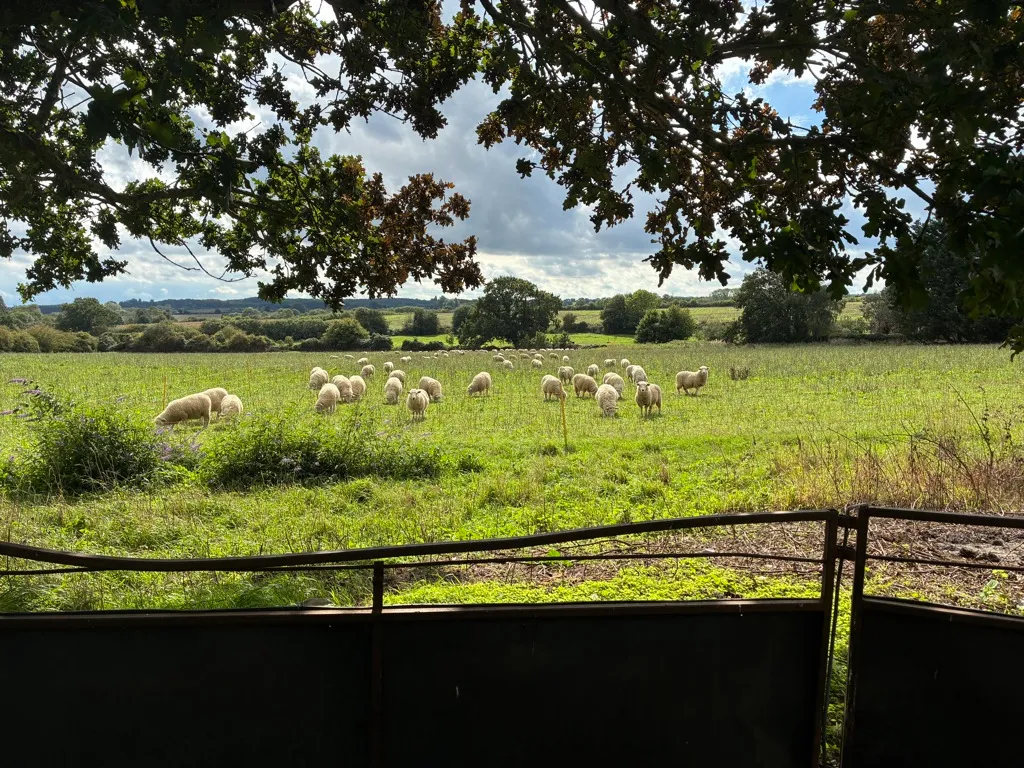 Bale Road, Sharrington, NR24, photo 34
