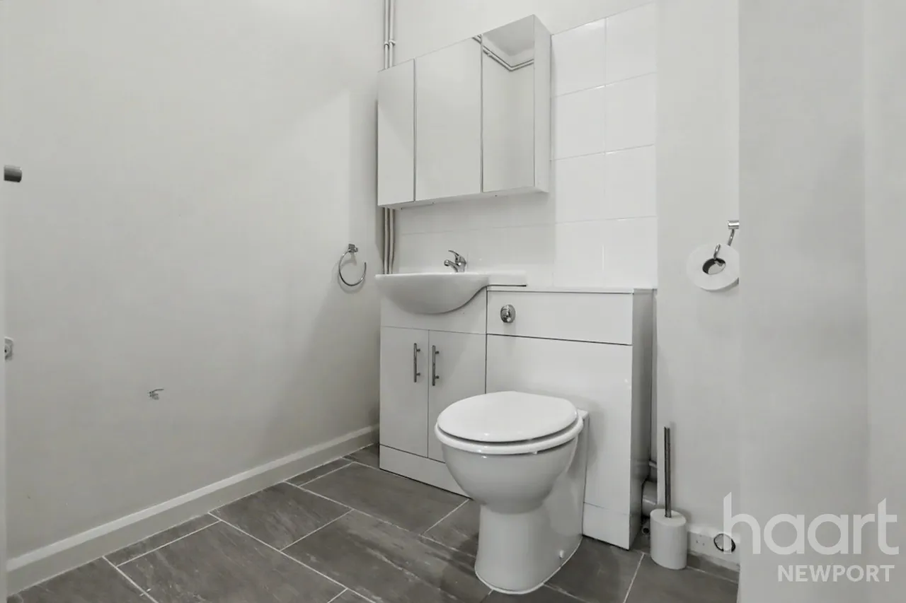 Stow Park Crescent, Newport, NP20, photo 19