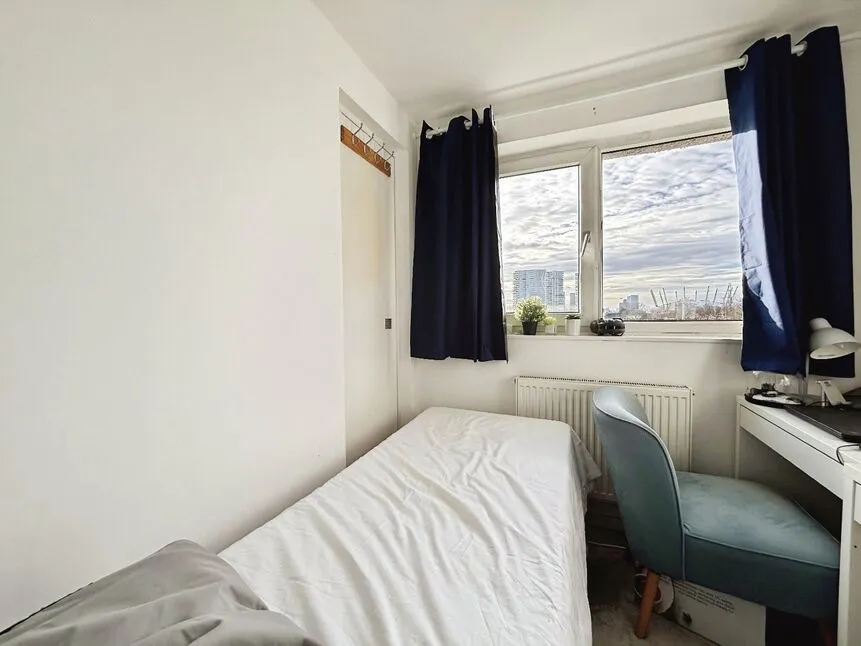 Ivy Road, London, E16, photo 9