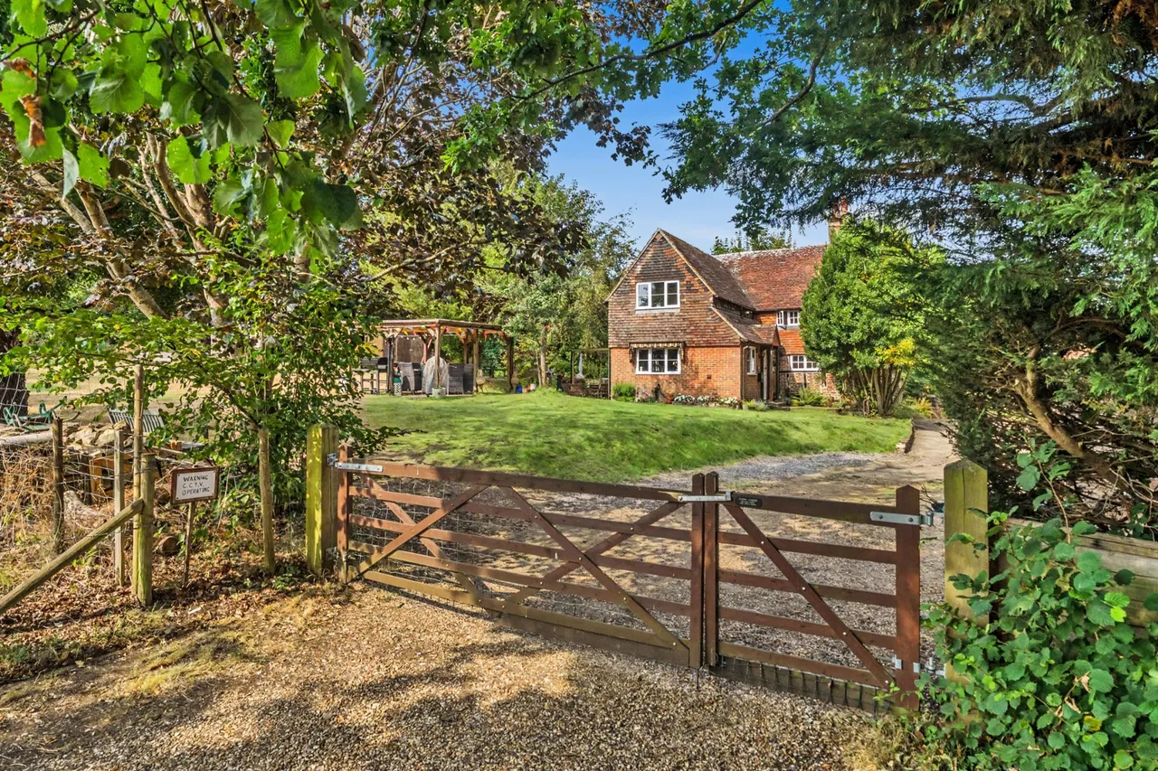 Petworth Road, Witley, GU8, photo 29