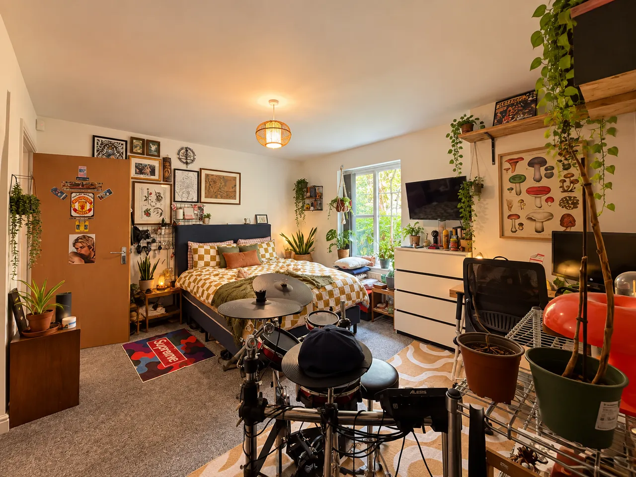 Stanley Road, Whalley Range, Manchester, M16 8HS, photo 11