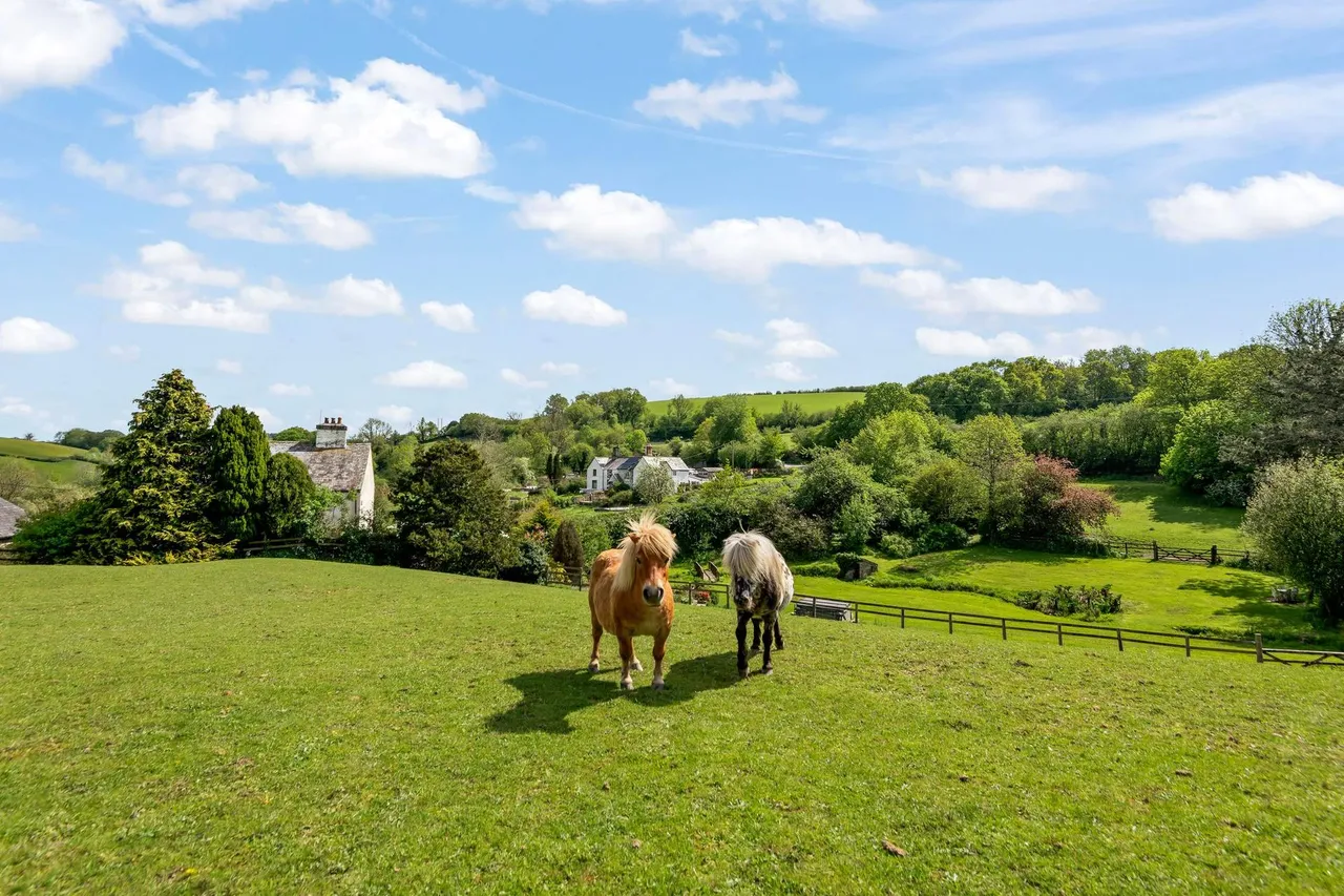 Lumburn, Tavistock, PL19, photo 31